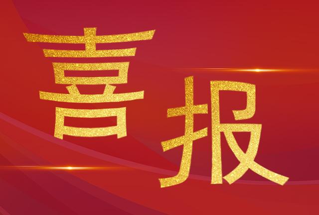喜報|加華榮獲2024年度中國電工技術(shù)學(xué)會科技進(jìn)步獎